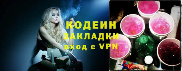 хмурый Нея