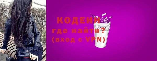 хмурый Нея