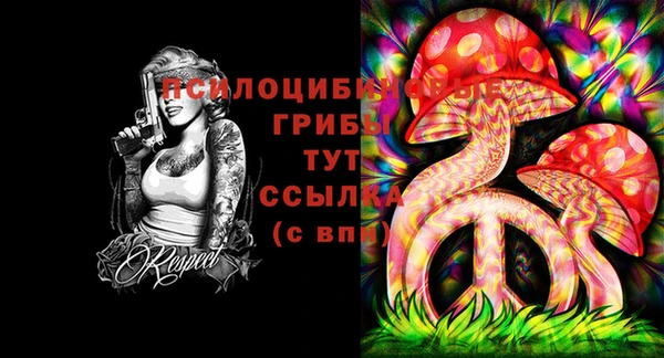 хмурый Нея