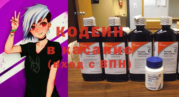 хмурый Нея