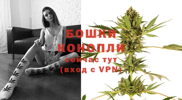 стафф Нефтекумск