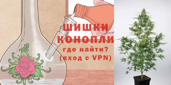 стафф Нефтекумск