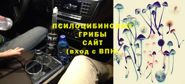 хмурый Нея