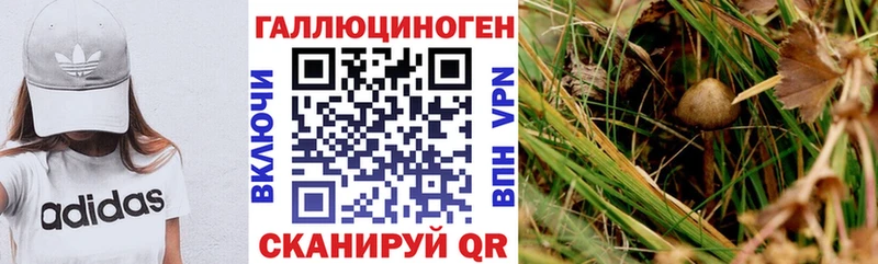Галлюциногенные грибы Magic Shrooms  Гвардейск 